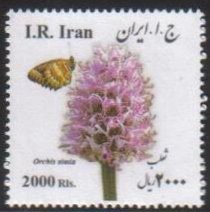 Иран - Iran 2017