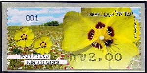 Израиль - Israel (2013)