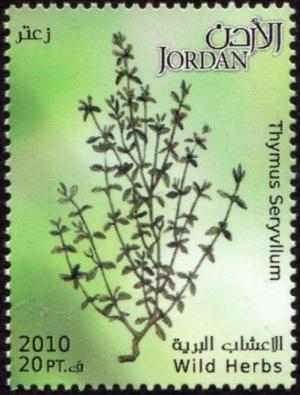 Иордания - Jordan (2011) 