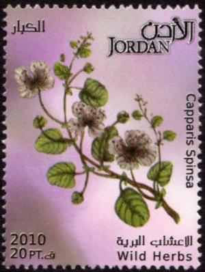 Иордания - Jordan (2011)