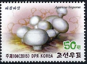 N.Korea 2015