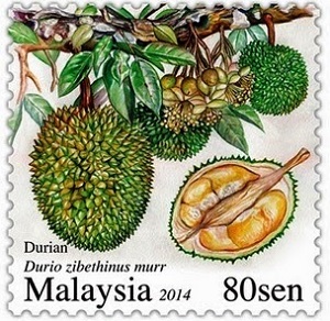 Malaysia 2014