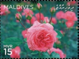 Maldives 2019