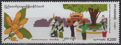 Myanmah 2019