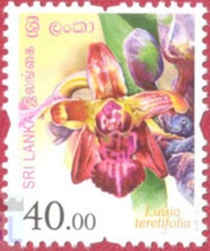 Шри-Ланка - Sri Lanka (2016)