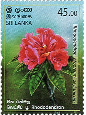 Шри Ланка - Sri Lanka (2019)