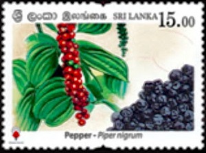 Шри-Ланка - Sri Lanka (2019)