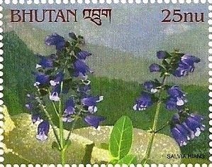 Bhutan 2000