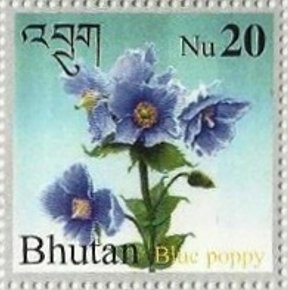 Bhutan 2006