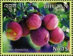 Bhutan 2017