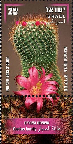 Израиль - Israel (Mammillaria sp. - 2022)