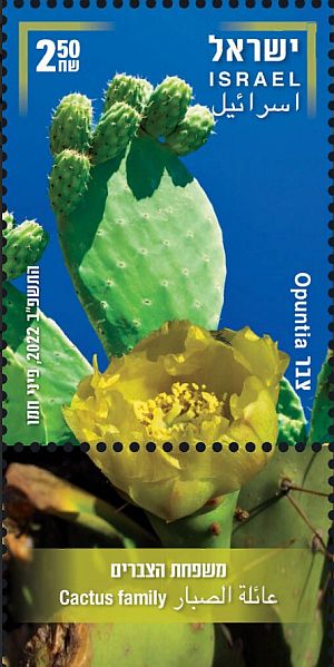 Израиль - Israel (Opuntia sp. - 2022)