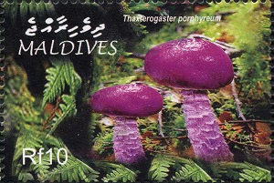 Maldives 2005