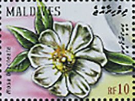 Maldives 2009