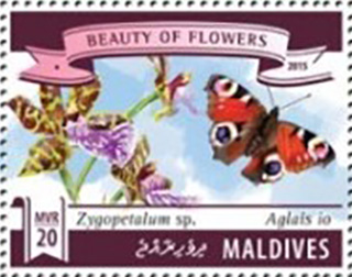Maldives 2003