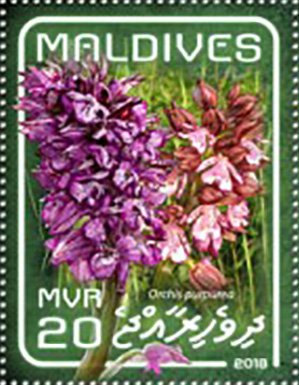 Maldives 2018
