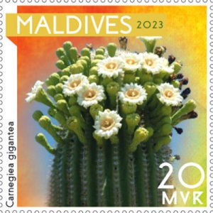 Maldives 2023