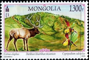 Mongolia 2020