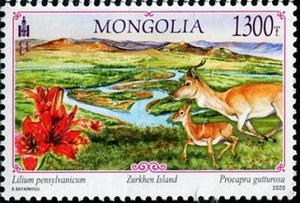 Монголия - Mongolia (2020) 