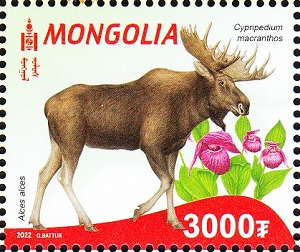 Mongolia 2022