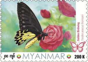 Myanmar 2024