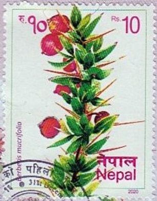 Непал - Nepal (2020)
