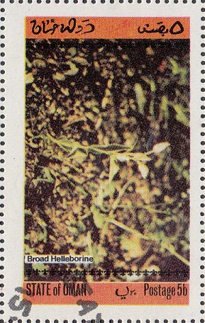 Oman 1973