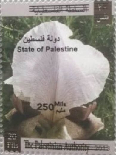 Palestine 2020