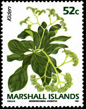 Marshall 1991