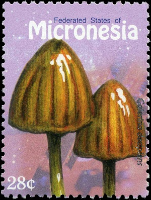 Микронезия - Micronesia 2010