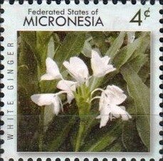 Микронезия - Micronesia 2010