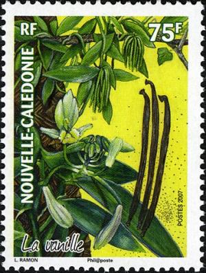 New Caledonia 2007