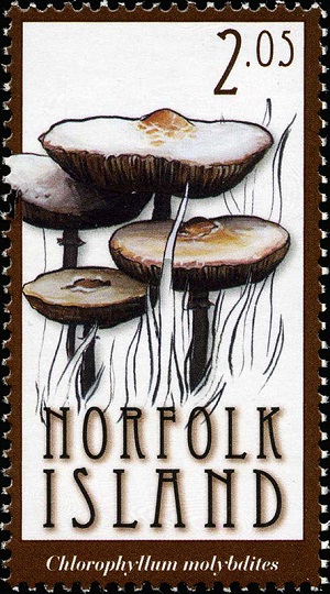 Norfolk 2009