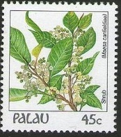 Palau 1988