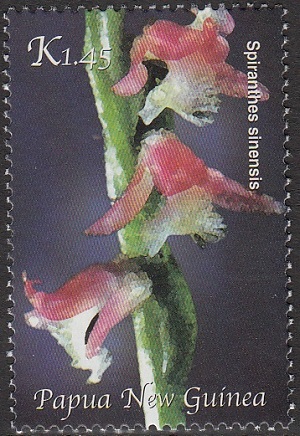Papua 2002