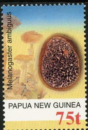 Papua  2005
