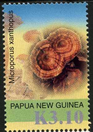 Papua 2005