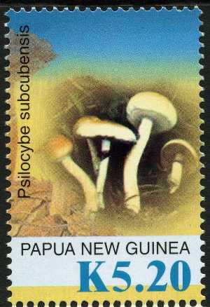 Papua 2005