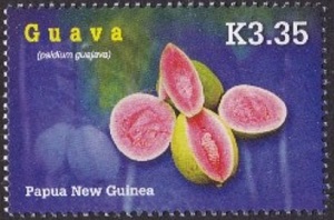 Papua 2007
