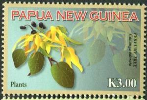 Papua 2009