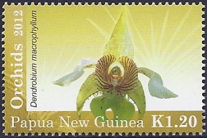 Papua 2012