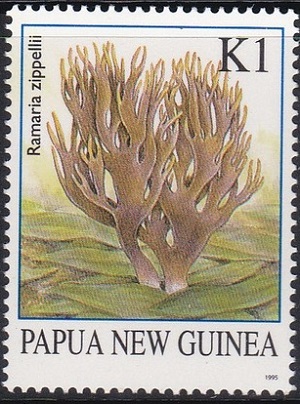 Papua 1995
