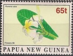 Папуа-Новая Гвинея - Papua New Guinea (1996)