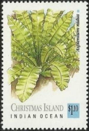 Рождества остров - Christmas Island (1989)