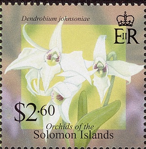 Solomon 2004