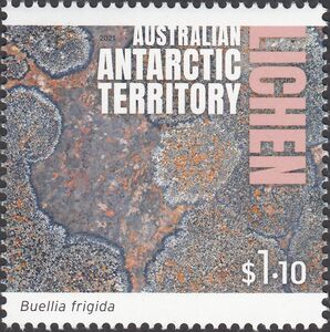 Австралийская Антарктическая Территория 2021