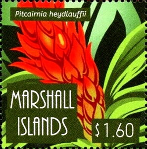 Маршалловы о-ва - Marshall Islands (P.heydlauffi - 2022)