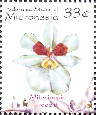 Micronesia 2000