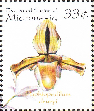 Micronesia 2000
