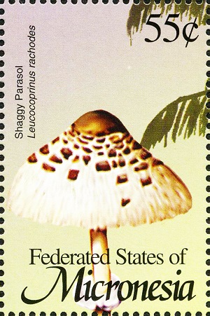 Micronesia 2002